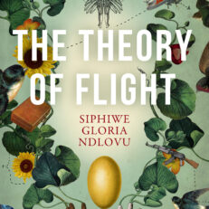 The Theory of Flight