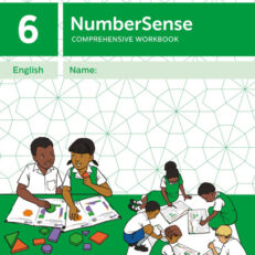 SALE! NumberSense Comprehensive Workbook 6