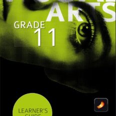 Visual Art Grade 11 Learner Guide