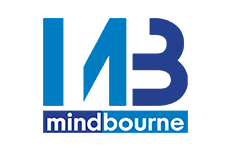 Mindbourne Mathematical Literacy Grade 11 Textbook